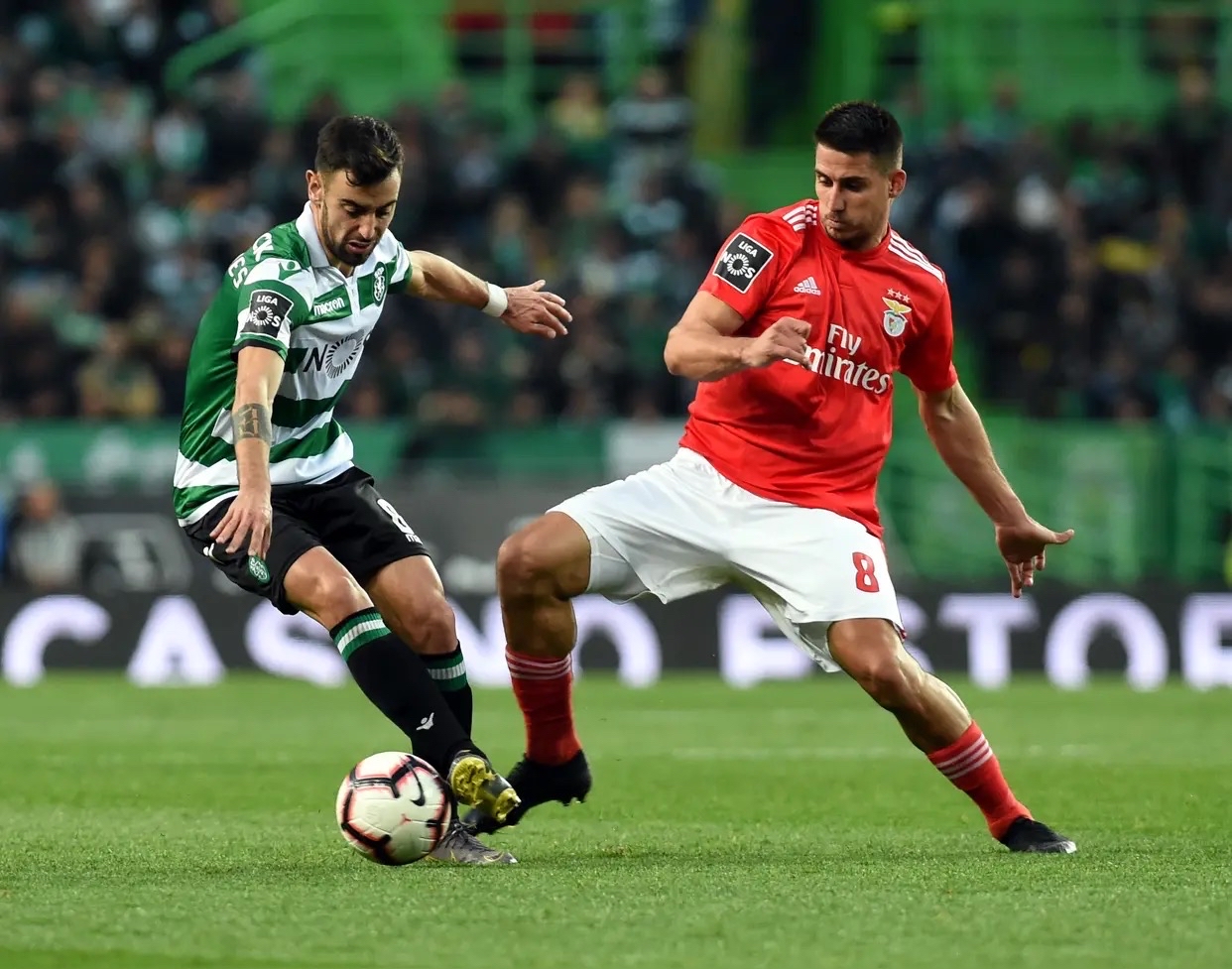 乐动-包含葡萄牙体育发布备战花絮，今晚篮板制胜，欧冠任务艰巨，团队化学反应显著的词条-乐动